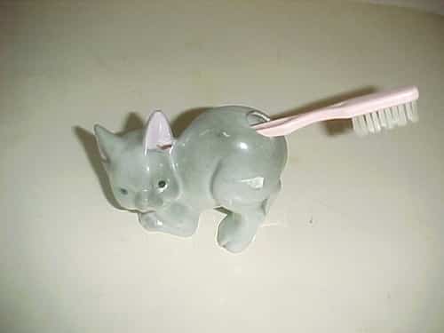 chat_brosse_a_dent_dans_le_cul1 chat_brosse_a_dent_dans_le_cul1