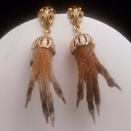 pendants_d_oreille_taxidermiste pendants_d_oreille_taxidermiste